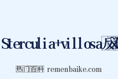 Sterculia+villosa反义词是什么意思的图片